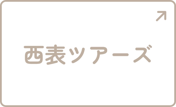 西表ツアーズ